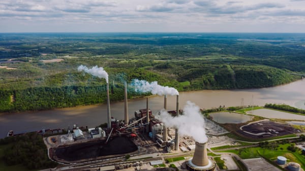 Responsible Nature Investing: Start with Your Own Supply Chain